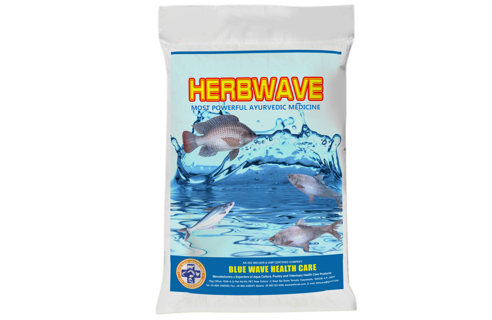 HERBWAVE ( Most powerful Ayurvedic Medicine)